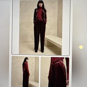 Banana Republic Norte Velvet Burgundy Pleated Relaxed Pants 2